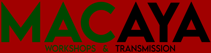 MACAYA Workshops & Transmission